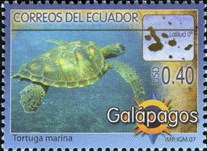 Colnect-1250-337-Green-Sea-Turtle-Chelonia-mydas.jpg