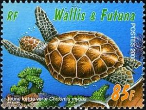 Colnect-1449-425-Green-Sea-Turtle-Chelonia-mydas.jpg
