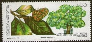 Colnect-1682-826-Magnolia-Magnolia-grandiflora.jpg