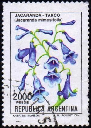 Colnect-1697-830-Jacaranda-Jacaranda-mimosifolia.jpg
