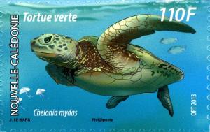 Colnect-2139-053-Green-Sea-Turtle-Chelonia-mydas.jpg