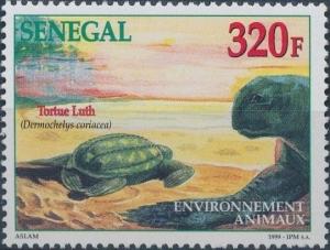 Colnect-2333-908-Leatherback-Sea-Turtle-Dermochelys-coriacea.jpg