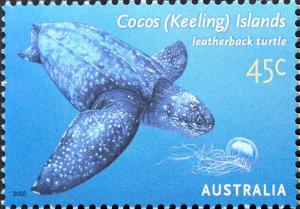 Colnect-2495-771-Leatherback-Sea-Turtle-Dermochelys-coriacea.jpg
