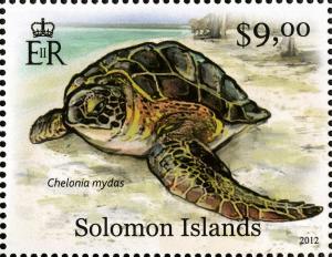 Colnect-2570-587-Green-Sea-Turtle-Chelonia-mydas.jpg