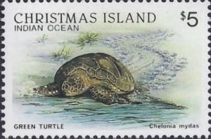 Colnect-2753-207-Green-Sea-Turtle-Chelonia-mydas.jpg