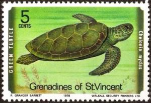 Colnect-3056-285-Green-Sea-Turtle-Chelonia-mydas.jpg