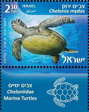Colnect-3138-023-Green-Sea-Turtle-Chelonia-mydas.jpg
