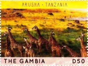 Colnect-3611-941-Arusha---Tanzania-Giraffe-Giraffa-camelopardalis.jpg