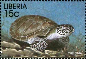 Colnect-3977-591-Green-Sea-Turtle-Chelonia-mydas.jpg