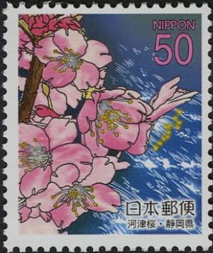 Colnect-3993-305-Kawazu-Cherry-Blossoms.jpg
