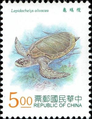 Colnect-4906-281-Olive-Ridley-Sea-Turtle-Lepidochelys-olivacea.jpg