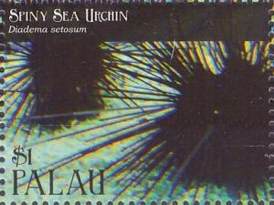 Colnect-4971-705-Spiny-Sea-Urchin-Diadema-setosum.jpg