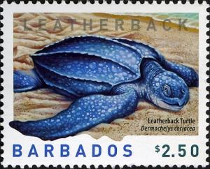 Colnect-5132-341-Leatherback-Sea-Turtle-Dermochelys-coriacea.jpg