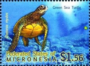 Colnect-5727-290-Green-sea-turtle-Chelonia-mydas.jpg