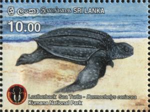 Colnect-5913-570-Leatherback-Sea-Turtle-Dermochelys-coriacea.jpg