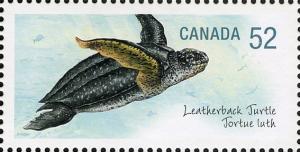Colnect-767-253-Leatherback-Sea-Turtle-Dermochelys-coriacea.jpg