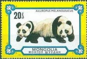 Colnect-905-964-Giant-Panda-Ailuropoda-melanoleuca.jpg
