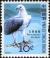 Colnect-545-646-White-bellied-Sea-eagle-Haliaeetus-leucogaster.jpg