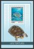 Colnect-5975-408-Green-Sea-Turtle-Chelonia-mydas.jpg
