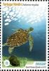 Colnect-2050-733-Green-Sea-Turtle-Chelonia-mydas.jpg