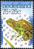 Colnect-2206-954-Common-Frog-Rana-temporaria-amongst-Frog-Spawn.jpg