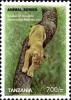 Colnect-1692-507-Lion-Panthera-leo---Female-from-Manyara.jpg