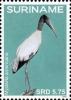 Colnect-4204-534-Mycteria-americana-Wood-Stork.jpg