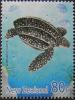 Colnect-4003-017-Leatherback-Sea-Turtle-Dermochelys-coriacea.jpg
