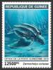 Colnect-5975-406-Leatherback-Sea-Turtle-Dermochelis-coriacea.jpg