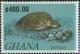 Colnect-2372-521-Green-Sea-Turtle-Chelonia-mydas.jpg