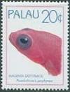 Colnect-2422-226-Magenta-Dottyback-Pseudochromis-porphyreus.jpg