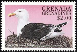Colnect-4213-463-Great-Black-backed-Gull---Larus-marinus.jpg