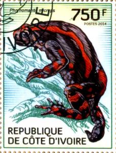 Colnect-3444-487-West-African-Rubber-Frog-Phrynomantis-mycrops.jpg