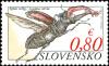 Colnect-2356-186-Stag-Beetle-Lucanus-cervus.jpg