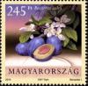 Colnect-2363-852-Besztercei-plum.jpg