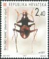 Colnect-5642-160-Cave-Beetle-Radziella-styx.jpg