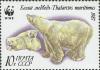 Colnect-588-748-Polar-Bear-Ursus-maritimus.jpg