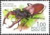 Colnect-6249-769-Stag-Beetle-Lucanus-cervus.jpg