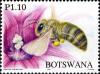 Colnect-931-727-African-Honey-Bee-Apis-mellifera-scutellata.jpg