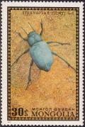 Colnect-1485-933-Darkling-Beetle-Sternoplax-zichyi.jpg