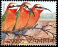 Colnect-3507-691-White-fronted-Bee-eater-Merops-bullockoides.jpg