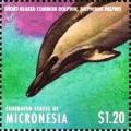 Colnect-5812-252-Short-beaked-common-dolphin.jpg