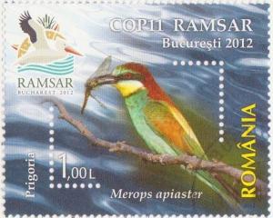 Colnect-1340-672-European-Bee-eater-Merops-apiaster.jpg