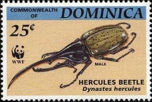 Colnect-1748-077-Hercules-Beetle-Dynastes-hercules.jpg