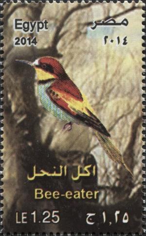 Colnect-3343-859-European-Bee-eater-Merops-apiaster.jpg