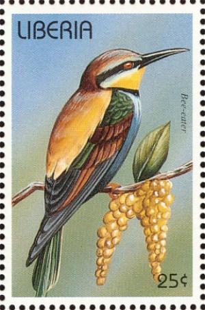 Colnect-3811-653-European-Bee-eater-Merops-apiaster.jpg