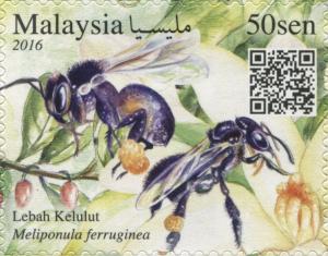 Colnect-4358-342-Stingless-Bee-Meliponula-ferruginea.jpg