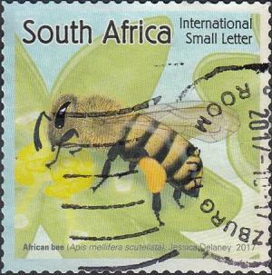 Colnect-5476-649-African-Honey-Bee-Apis-mellifera-scutellata.jpg