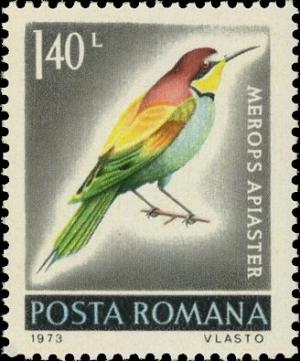 Colnect-5588-891-European-Bee-eater-Merops-apiaster.jpg