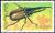 Colnect-4961-924-Hercules-Beetle-Dynastes-hercules.jpg